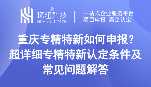 專精特新企業(yè)申報(bào)指南