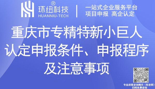 重慶市專精特新小巨人認定申報