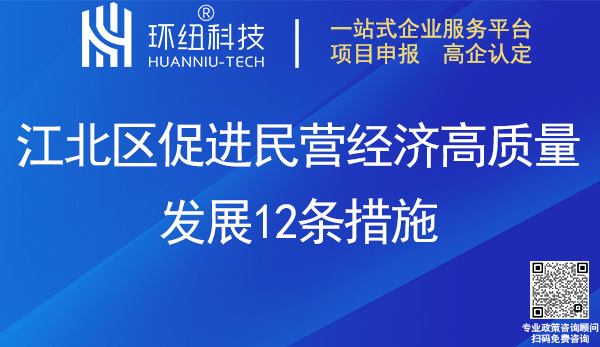 江北區促進民營經濟高質量發展12條措施