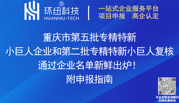 重慶專精特新小巨人企業認定復核名單