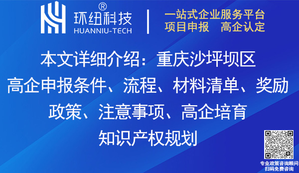 沙坪壩區(qū)高新技術企業(yè)認定